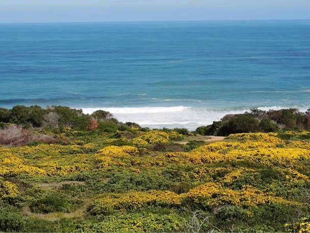 4 Bedroom Property for Sale in Stilbaai Rural Western Cape